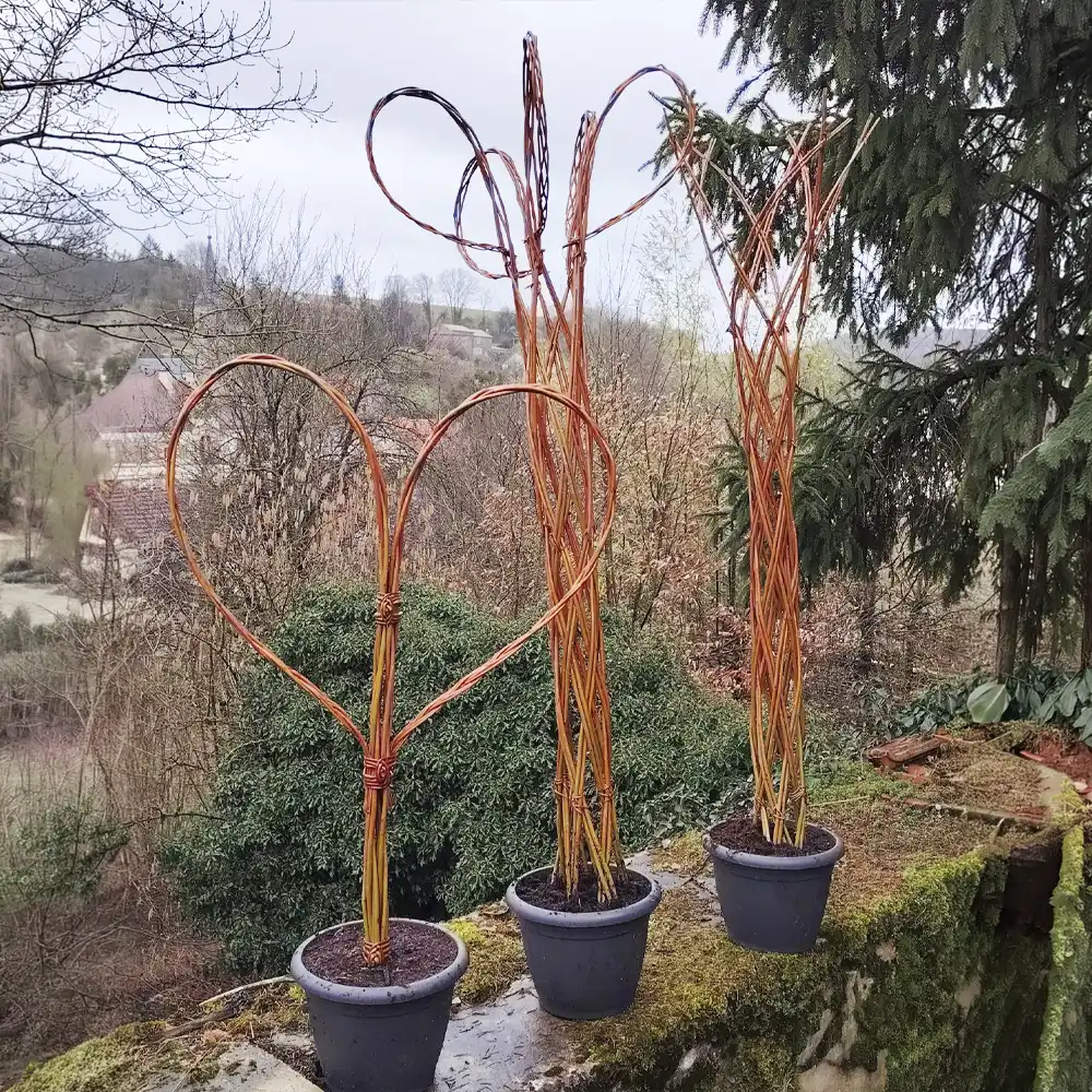 Tuteur de jardin en osier naturel - Vannerie de jardin artisanale Willow.